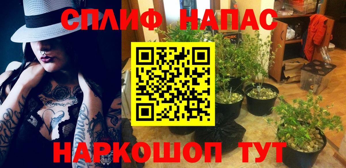 Каннабис индика  Канабис Ganja  Новосибирск  Конопля индика  Вход с VPN  Каннабис Amnesia 